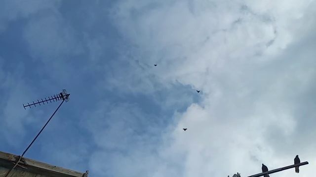 02.02.24.Ветер с/з порывистый, прижимной. смотреть онлайн