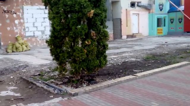 Самое красивое кафе на Оболонской Набережной - было. смотреть онлайн