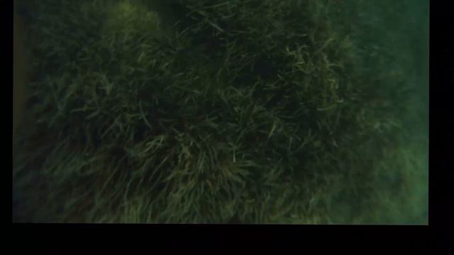 Snorkeling In Marmaris, Turkey