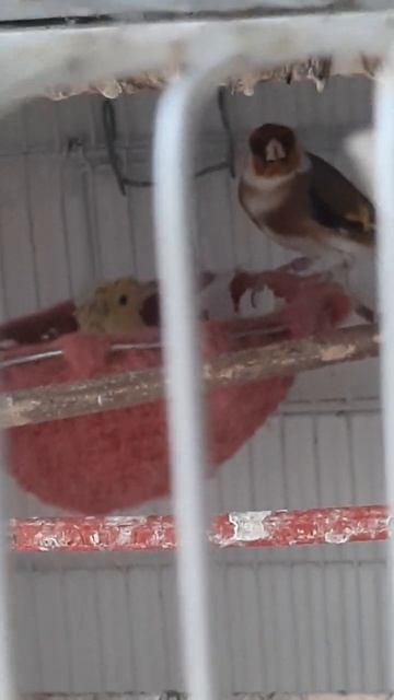 18 апреля 2024 г. смотреть онлайн