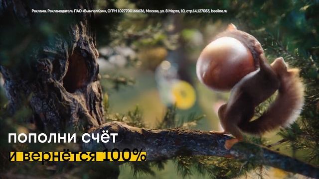 Реклама Билайн: Кешбэк На связь 100 процентов 2025 15 сек смотреть онлайн