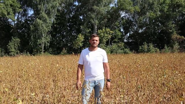 Поле-онлайн | Соя, Київська область, 11.09.2019 р. смотреть онлайн