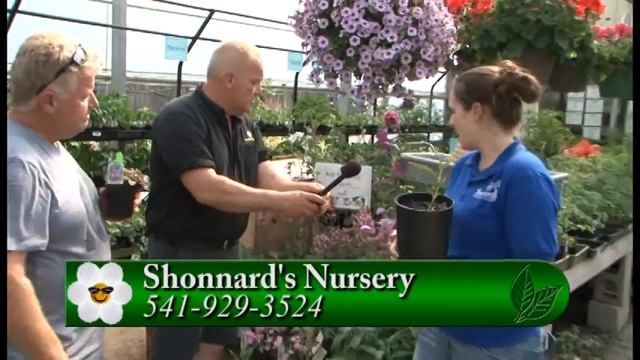 Plant pick - Pollinator Plants смотреть онлайн