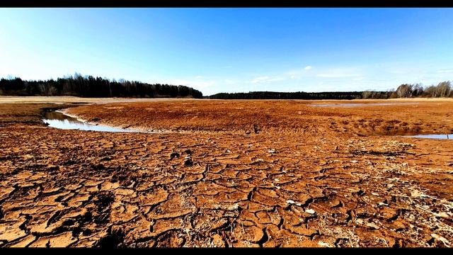 А  Кушнер  А если в ад я попаду #философскаялирика #поэты20века #современнаяпоэзия