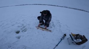 Трофейная щука Шатского водохранилища 2024г.