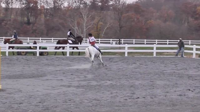 Tayler & Biz @ MDHT Starter Trial - JT - SJ - 11-13-11 смотреть онлайн