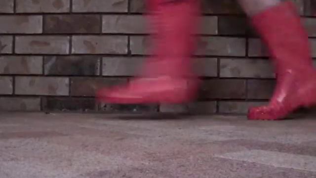 D-Camp Border Bolt смотреть онлайн