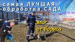 ОБРАБОТКА САДА. БОРДОСКАЯ жидкость 3%. Как РАЗВОДИТЬ. Инструкция от БОРИСА