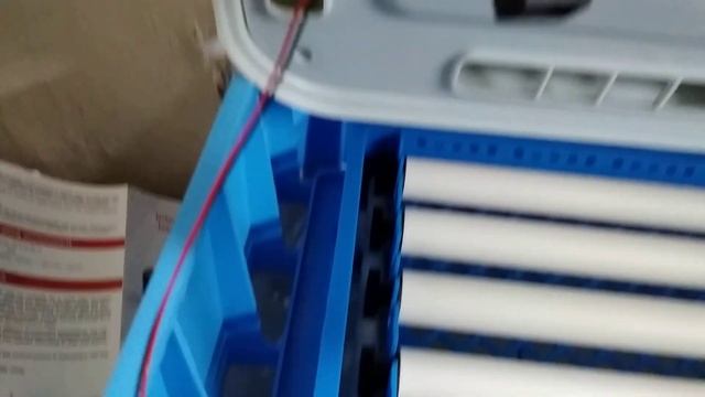 Mini 30 Eggs Fully Automatic Incubator And Review