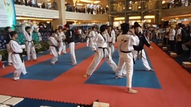 Demo Tae Kwon Do WTF Korea 2012 Gangnam Style Amateur Camera part 1 смотреть онлайн