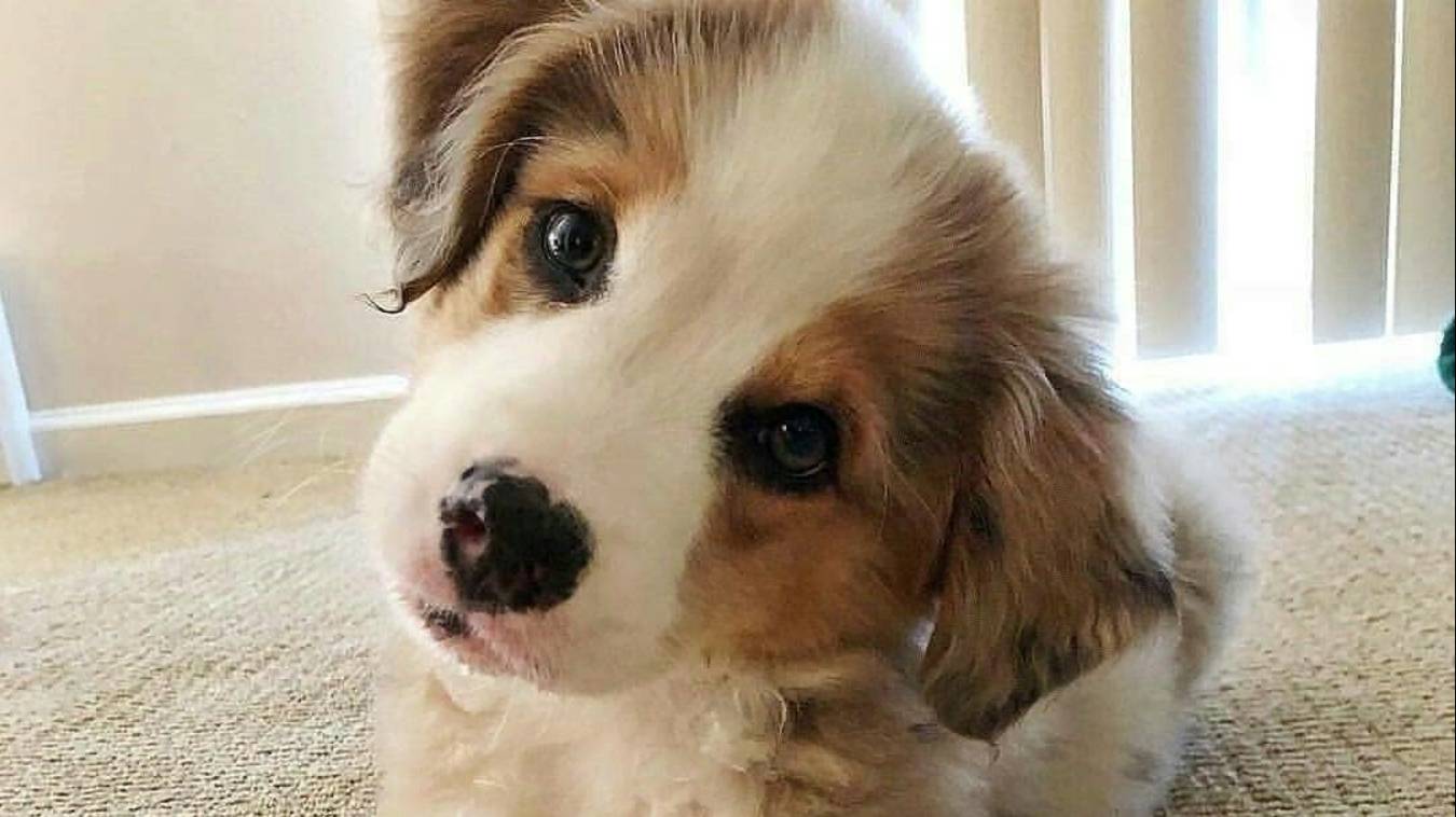 Л01 выполнение