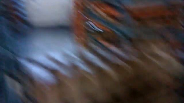 Беспридел,срачь на хлебозаводе 6 смотреть онлайн