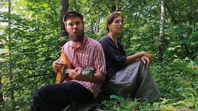 Дельфины смотреть онлайн