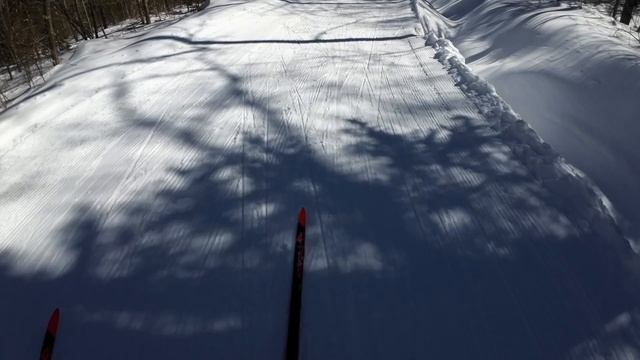 Sugarloaf Inferno Downhill Nordic Race Experienced through the Eyes of Bates Nordic | Winning Run смотреть онлайн