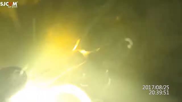 Псёл 3 Ночная охота смотреть онлайн