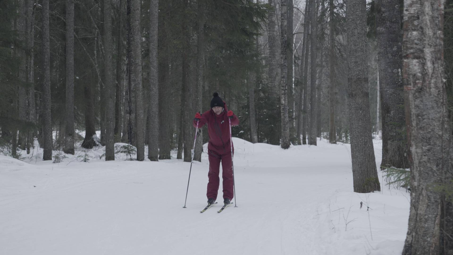 Два ветерана СВО из Марий Эл отправятся на Всероссийский «Кубок Защитников Отечества» смотреть онлайн