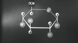 Углеводы  Леннаучфильм часть 1