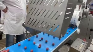 REX UFM 300-4 для производства фрикаделек (митболов, тефтелей)