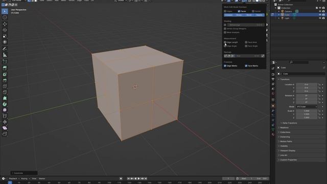 Blender Measure