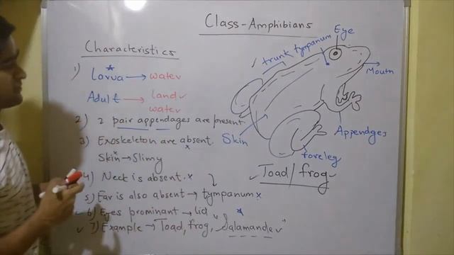 Ch 06 | Part-11 |Snake , Crocodile, Lizard, Tortoise - Reptiles | Frog, Toad, Salamander - Amphibia смотреть онлайн