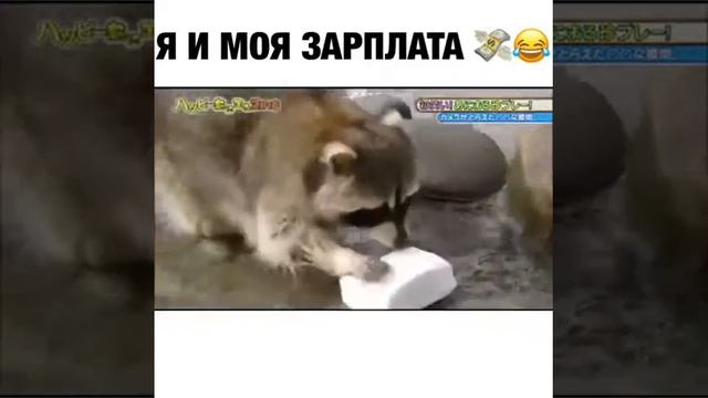 Зарплата она такая 😱😱😱 смотреть онлайн