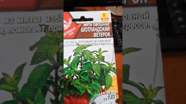 Лекарственные семена. Herbal