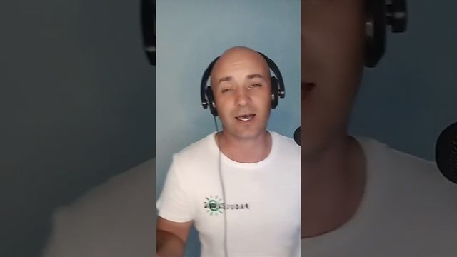 Белый лебедь на пруду смотреть онлайн