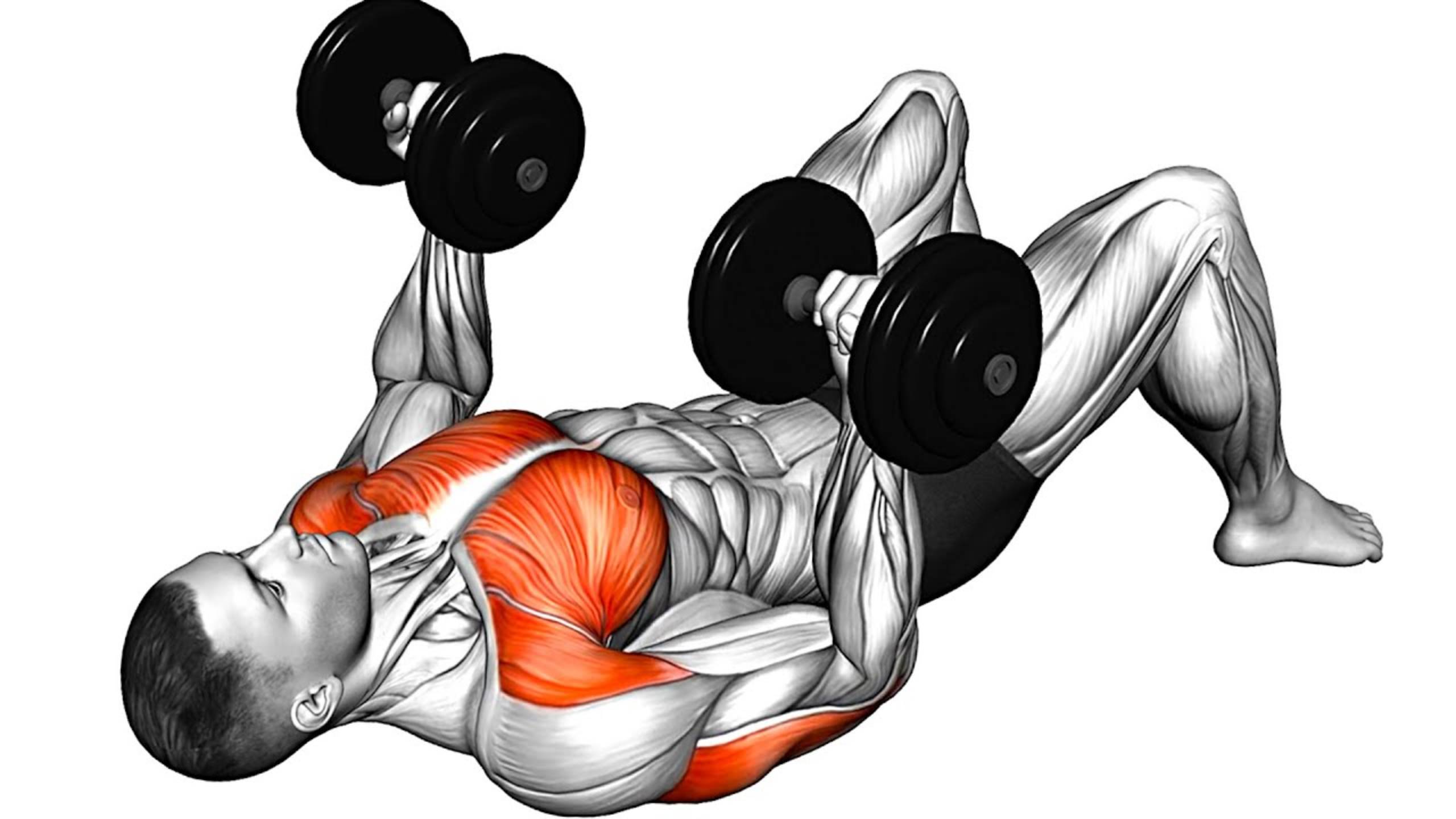 Лучшие упражнения с Гантелями дома