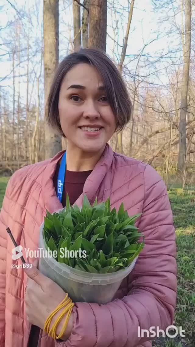 с 8 марта, грибники🔥 Грибная банда поздравляет #shorts #грибы смотреть онлайн