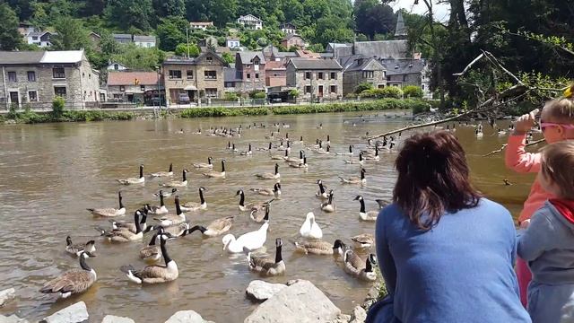 Хлеб и зрелище смотреть онлайн