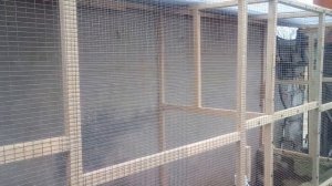 Новый вольер для попугаев