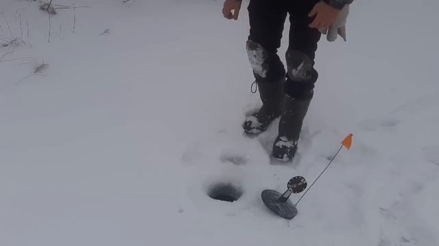 Первый лёд!устали бегать!Поклёвка за поклёвкой! смотреть онлайн