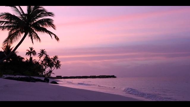 Пейзаж с морем и пальмой смотреть онлайн