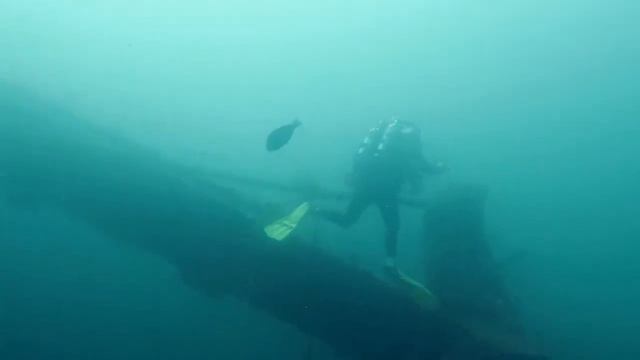 plongée épave "étoile rouge" avec le Nautilus. смотреть онлайн