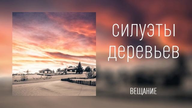 Силуэты деревьев на фоне вечернего неба... смотреть онлайн