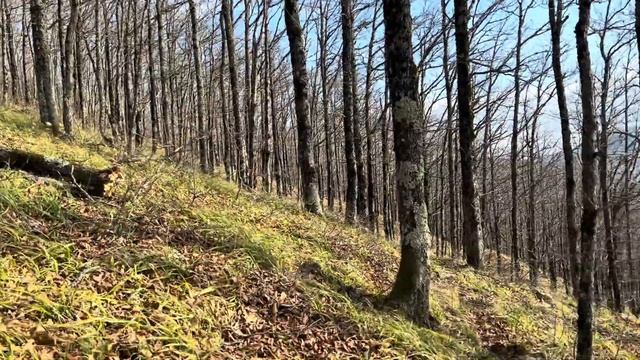 ПВД 2023 На хребет Корабельный