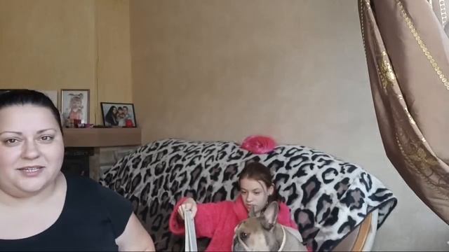 Давайте Знакомиться смотреть онлайн