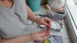 Посев львиного зева на снег 15. 02.2024