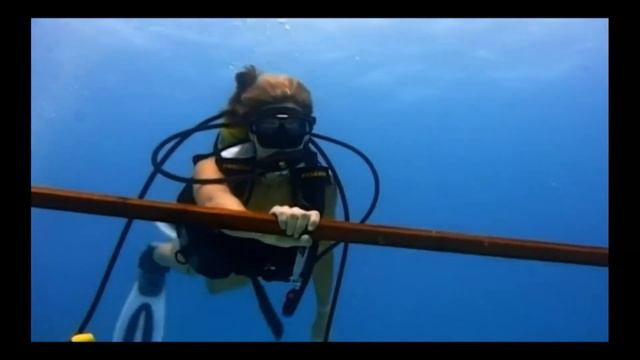 Scuba Diving Underwater Research 2002