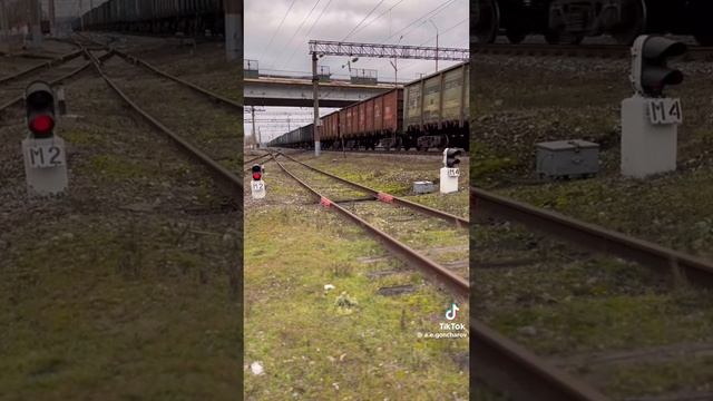 1000014064.mp4 смотреть онлайн