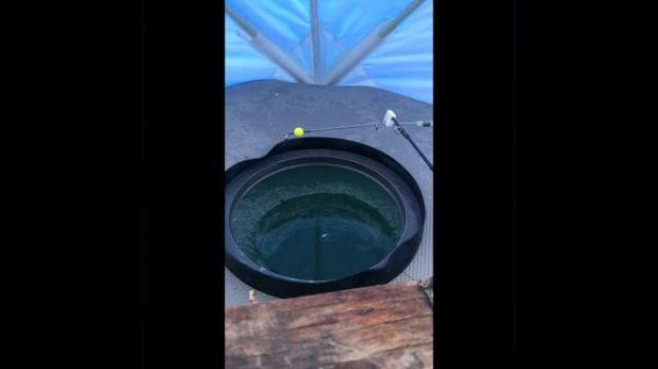 Вот это рыбалка! Маныч-Маныч