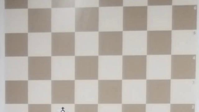 Игровые шахматные задания. Для маленьких шахматят. Шахматы-это интересно. 🧸 смотреть онлайн