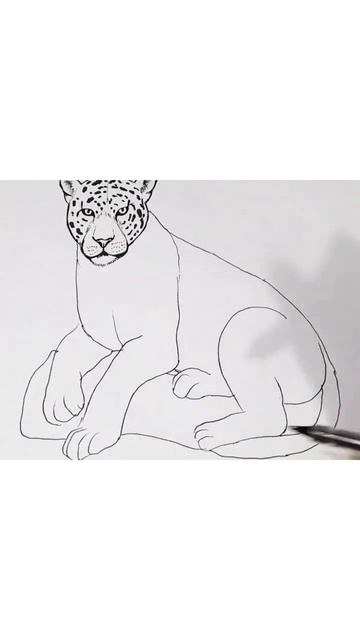 leopard drawing #drawing #ytshorts #trendingshorts смотреть онлайн