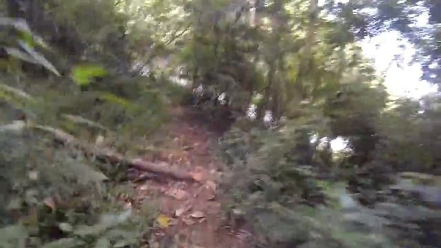 Bajadas como Selva en el camino los Españoles - Hans vs Roger смотреть онлайн