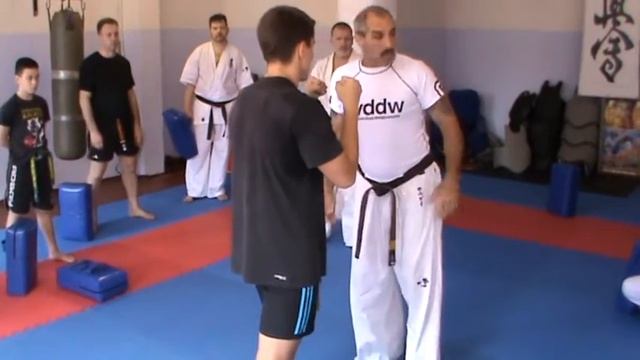 Shihan Sergei Vsevolodov, training Shito Tsuki chudan, Krivoi Rog 2016 May смотреть онлайн