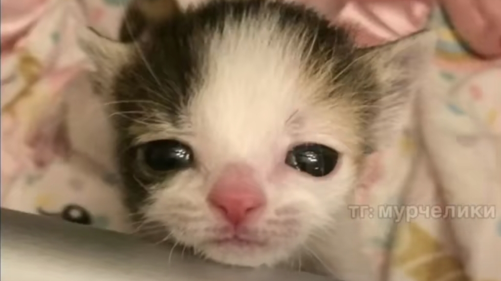 пятница !8 марта