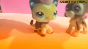 Клип лока лока тока тока