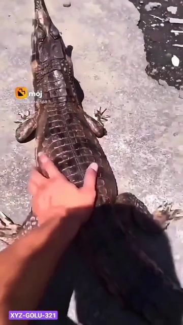 funny comedy #short #shorts #video смотреть онлайн