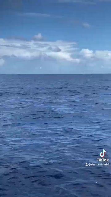 February 23, 2022 смотреть онлайн