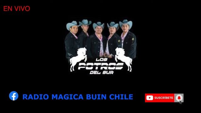 bailable en vivo 23 de marzo 2024 TROPICAL Y RANCHERA Radio Magica y Dj Tito pache pache смотреть онлайн